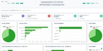 彭阳县审批局市场普查系统开发与维护